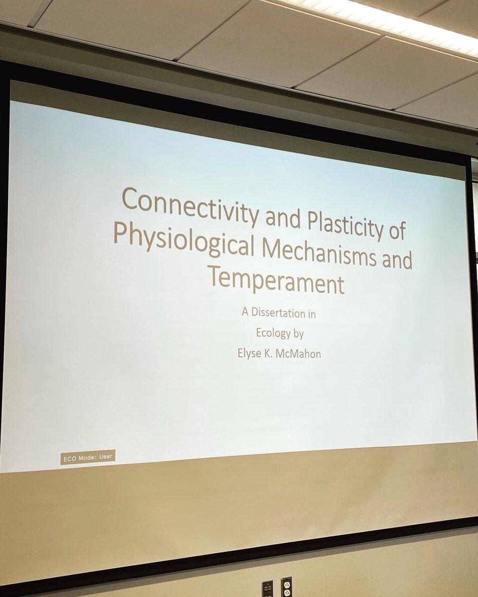 elyse5112's tweet photo. Thatโs Dr. Elyse McMahon! Successfully defended my dissertation yesterday! It still doesnโt feel real. Yes, I will be putting Dr. on everything now ๐ #phdlife #PhDone #byebyegradschool #AcademicTwitter https://t.co/ua5v3lMmPT
