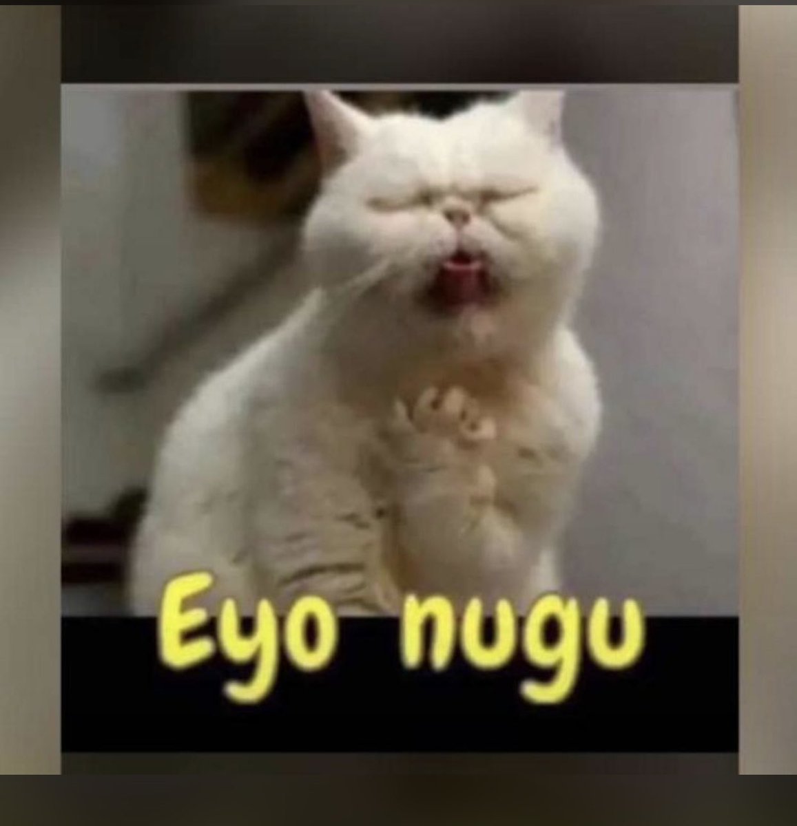 #Spurs  #lacazette #Arsenal♥️💪🏽