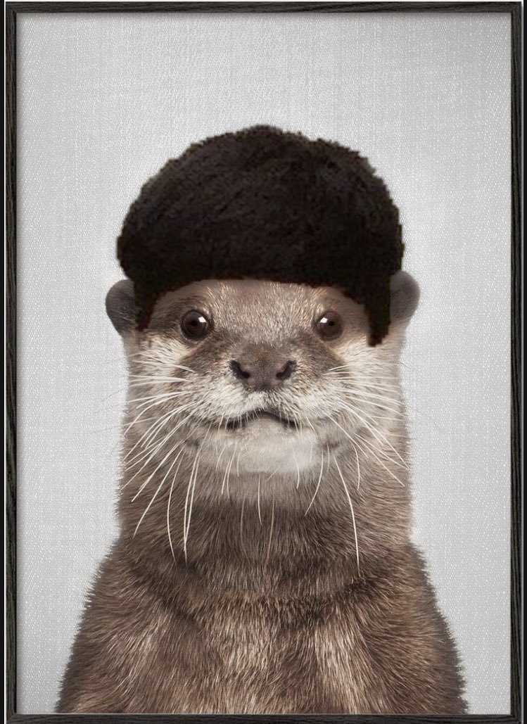 So umm…i’d like to apologize on behalf of-