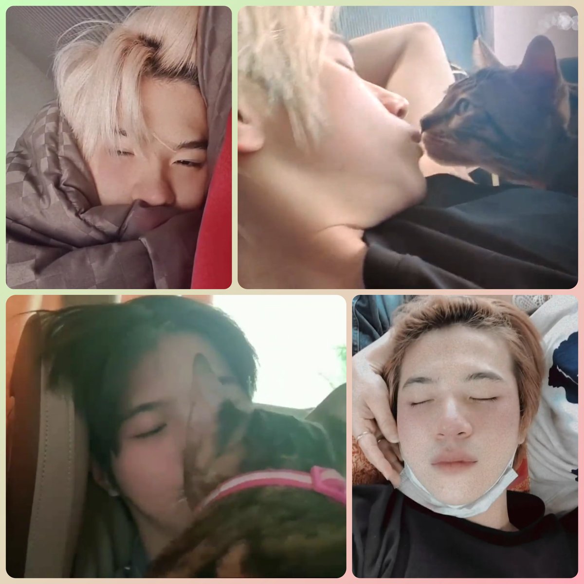 714kekko's tweet photo. 今日も安静にゆっくり休んでください。心穏やかに家族と過ごせますように💚
ขอให้หายเร็วๆ🙏
#PlanRathavit
#คนของแปลน
#GetWellSoonPlan
Cr.ppsnoi.IG
Cr.Plan.IG https://t.co/5kakRfMTBy