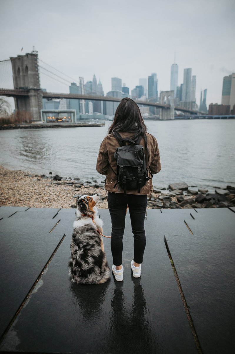 oh hi #twitterdogcommunity we here too 🙃👋🏼