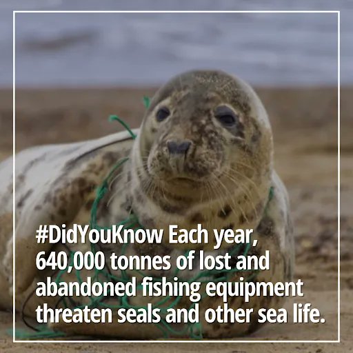 Climate change and plastic pollution are threats to coral reefs around the globe. 

By taking small steps in reducing our plastic consumption and being mindful of where our trash goes, we can unite to save the coral reefs!  🌊 #NoToSingleUsePlastic #StopOceanPollution 🙌