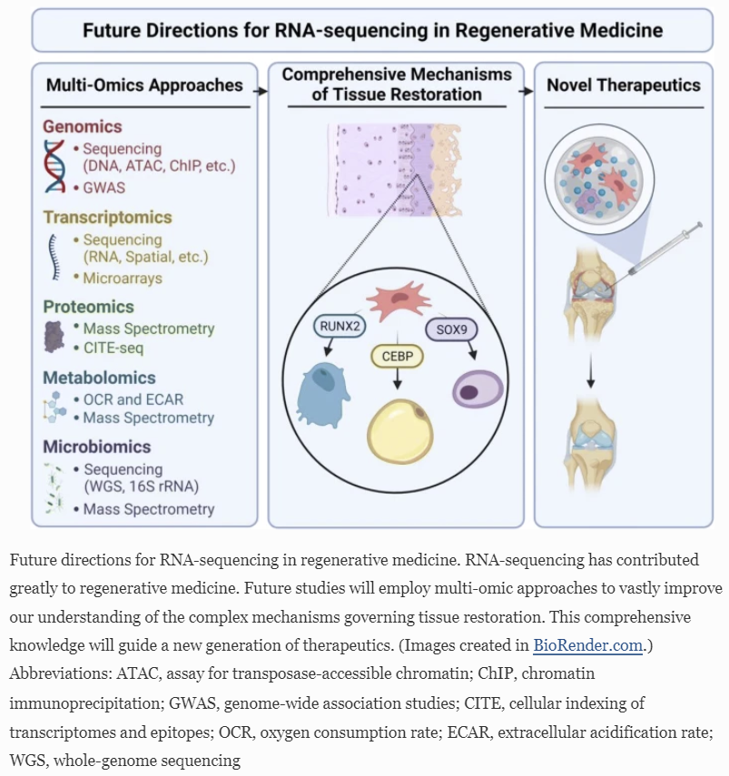 Carolyn Chlebek, PhD (@carolyn_chlebek) on Twitter photo Looking to use #RNAseq in your #orthoresearch? Check out this nice review written by <a href="/ORSsociety/">Orthopaedic Research Society</a> members summarizing the benefits of bulk RNAseq vs. scRNAseq, and highlighting some exciting sequencing work recently published in the field.
#ORSSMC
ow.ly/Lxbj50I0BHI Looking to use #RNAseq in your #orthoresearch? Check out this nice review written by <a href="/ORSsociety/">Orthopaedic Research Society</a> members summarizing the benefits of bulk RNAseq vs. scRNAseq, and highlighting some exciting sequencing work recently published in the field.
#ORSSMC
ow.ly/Lxbj50I0BHI