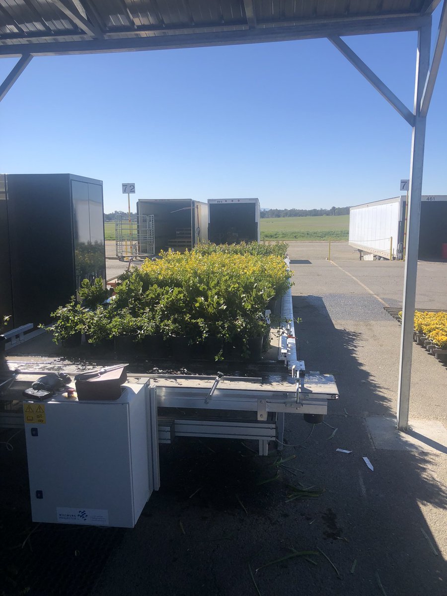 Master Nursery® Garden Centers (@master_nursery) on Twitter photo Thank you <a href="/everdegrowers/">Everde Growers</a> for giving our team a great tour of your Winters, California, location today! Thank you <a href="/everdegrowers/">Everde Growers</a> for giving our team a great tour of your Winters, California, location today!