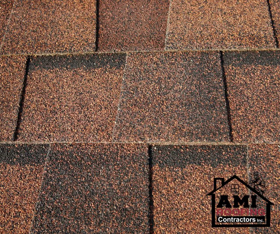 AMIRoofs's tweet photo. Want to learn more about our shingle color options? Visit us at https://t.co/gFUPkS3zOJ

#roof #newroof #roofrepair #roofreplacement #home #homerepairs #homeimprovement #btown #bloomingotn #bloomingtonindiana #roofingpros #roofingexperts https://t.co/XMnCOQIHEo