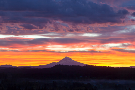 The 2022 Annual Meeting will be held on Tuesday May 24, 2022 at 2:00 p.m. at online via Zoom. This year there are two open positions on the Board of Directors. If you'd like to learn more about the Annual Meeting, read more on our blog: bit.ly/3hjdAMQ