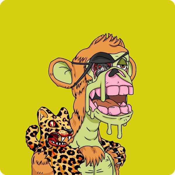 CrossInvests's tweet photo. will be rocking my muntat for now. Have so much love for BAYC and will be at every ape fest aping out with y’all 💛 https://t.co/UduGeqWg5c
