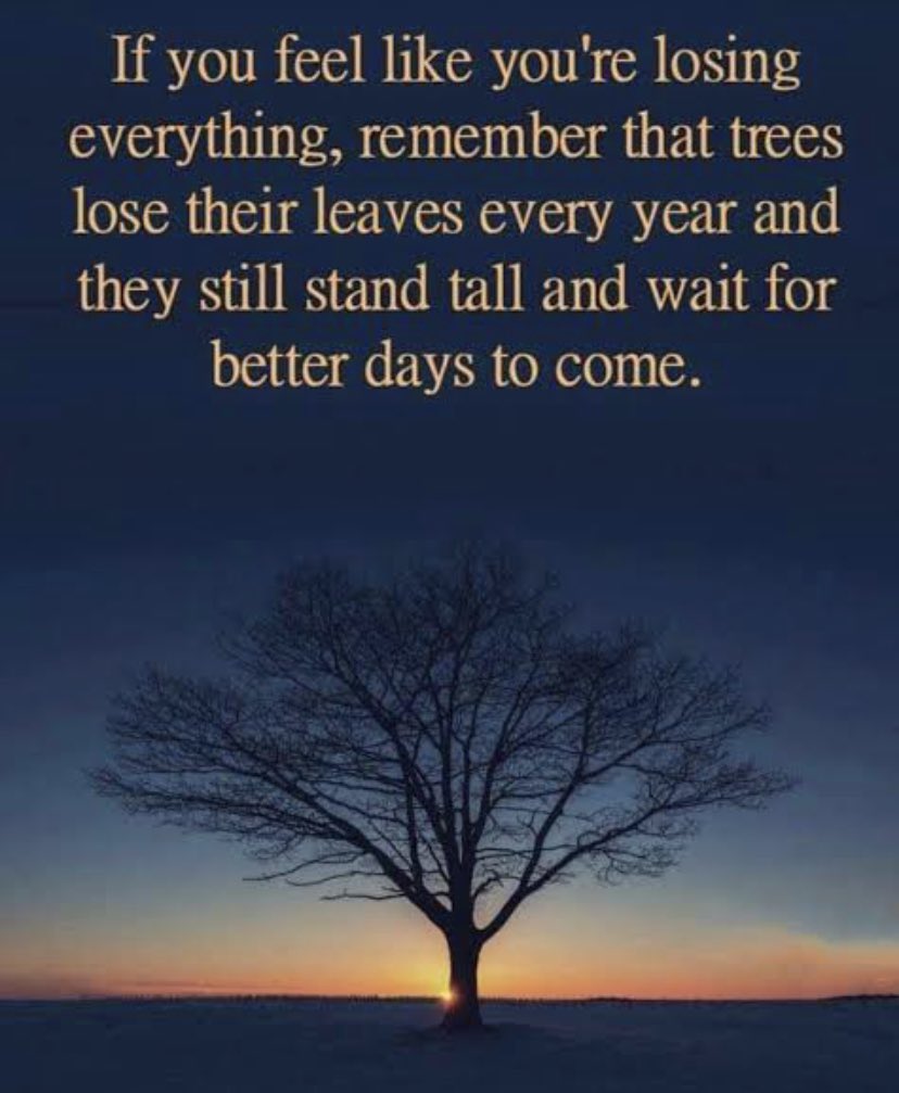 selfEcompany's tweet photo. I know things seem crazy right now but better days are to come. #Ukraine #StayStrongUkraine https://t.co/ldnl13RVZ7