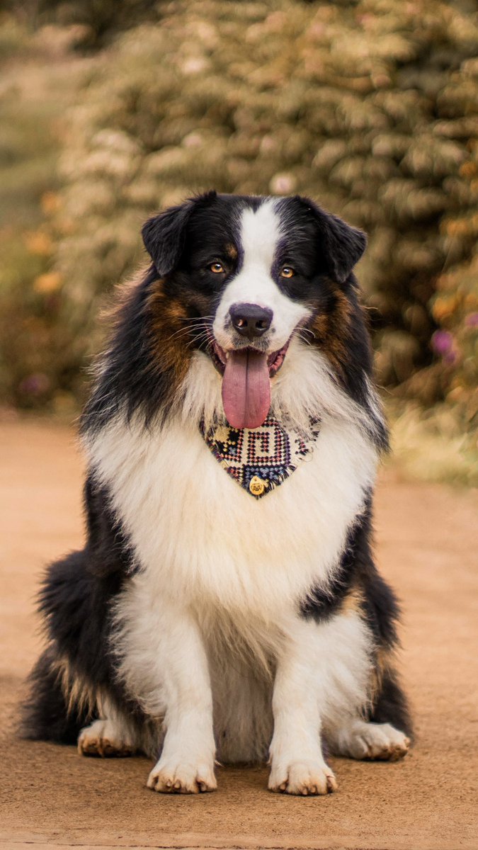 Hello, we ended up being influenced and decided to try Twitter too...we still don't know how well this works, but little by little we will get there😅