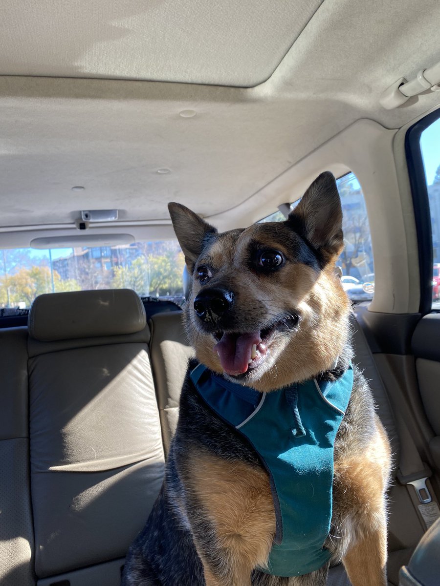 On our next adventure 😏