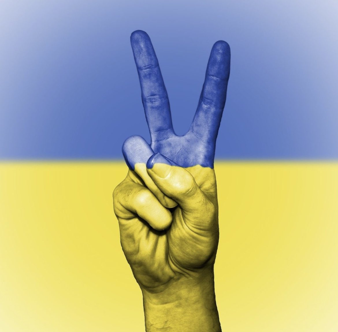 WePublicHealth's tweet photo. We often forget how fortunate we are to have politicians (no matter how flawed) that are willing to engage in peaceful debate in the lead up to our elections. I along with many across the world hope for a resolution to the Ukraine crisis before the loss of anymore human life. https://t.co/H0qWb26fxp