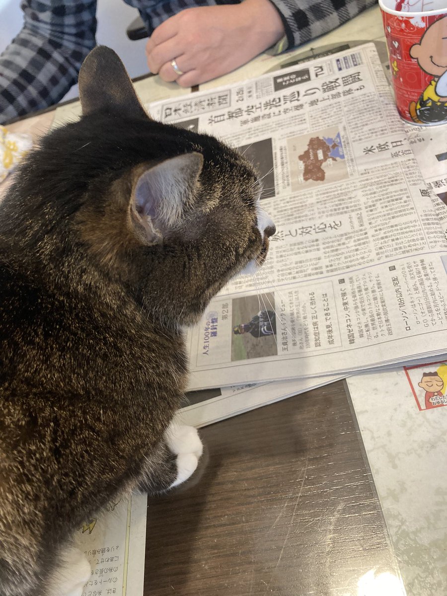 Aiko S Optimal Today