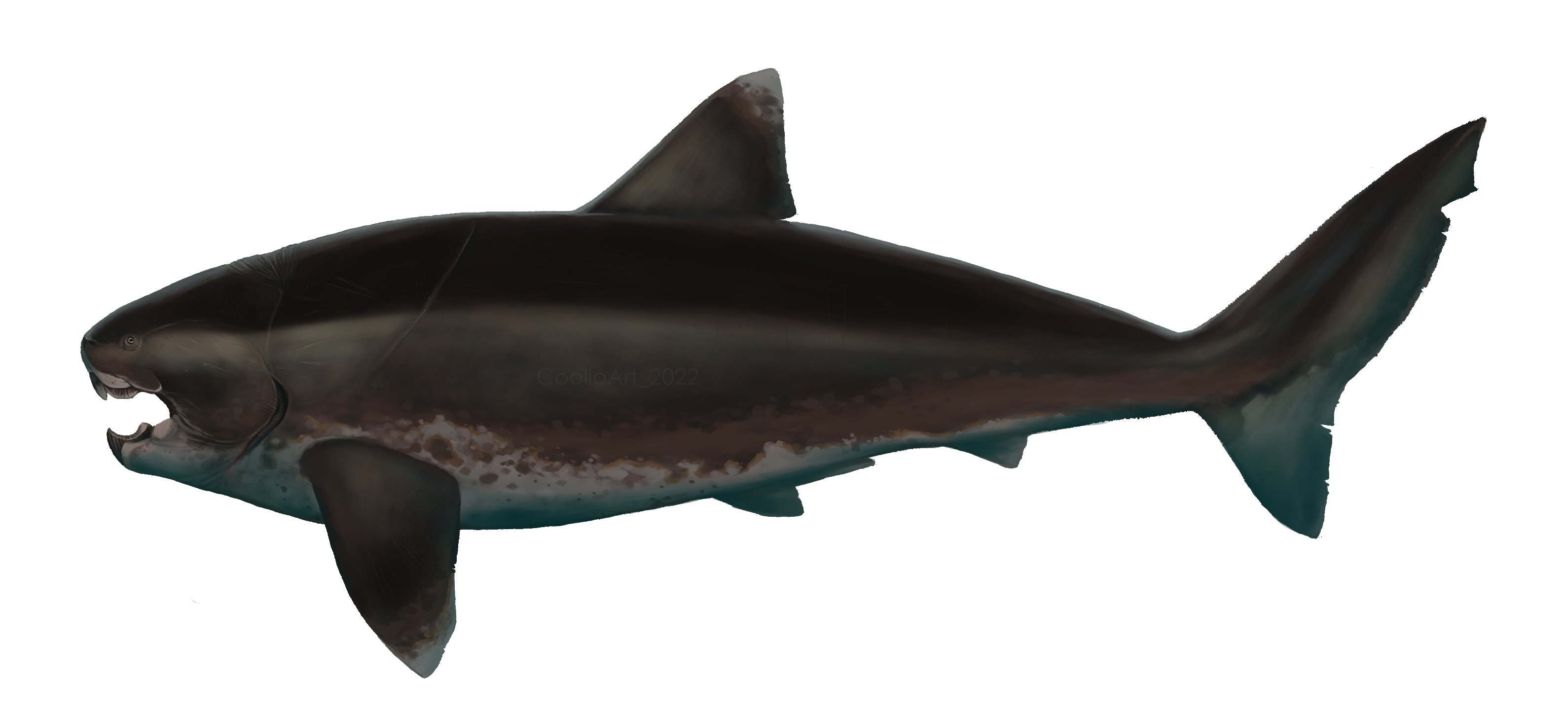 jurassic fight club megalodon