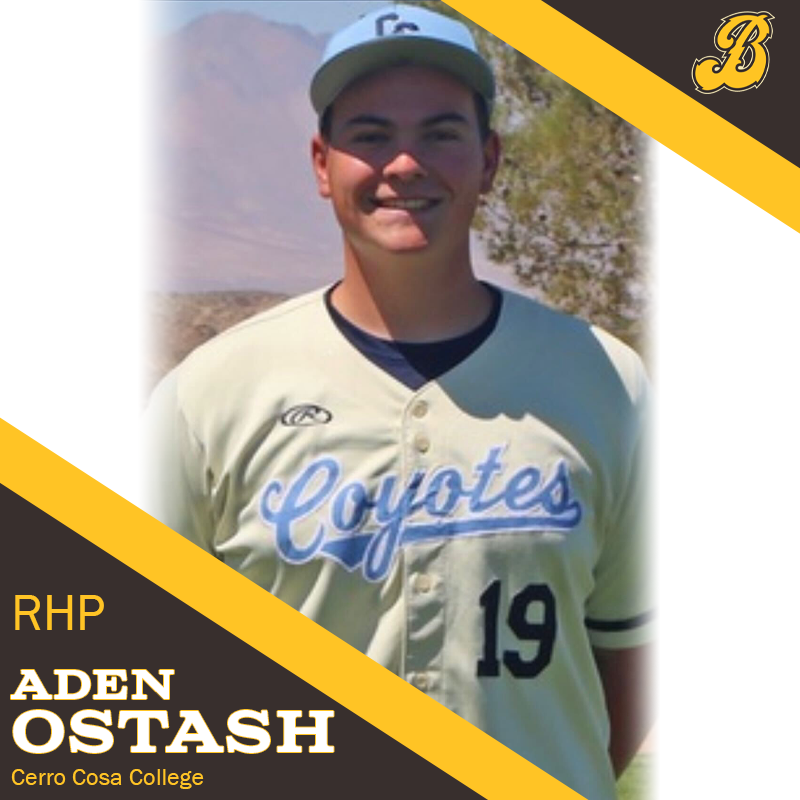 Bison Baseball Club tweet media