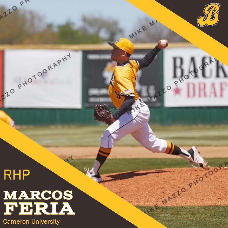 Bison Baseball Club tweet media