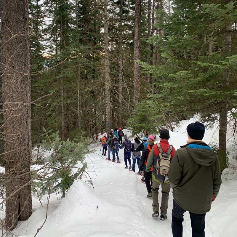 Here is how we are working for your Inland Northwest environemtn - TLC News - February 2022 🌲 - mailchi.mp/landscouncil/t…