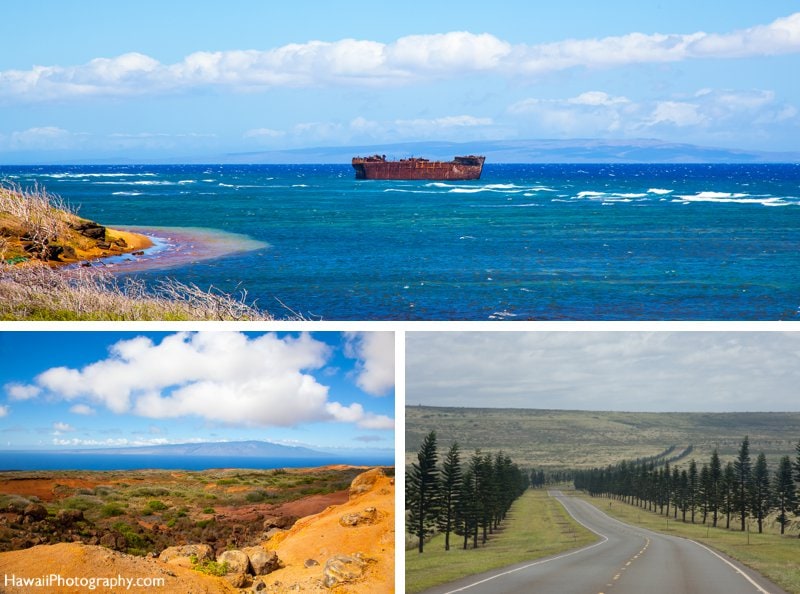 Maui's tweet photo. Day Trip to Lanai
https://t.co/Be8LfL5LWI
#lanaihawaii #lanai #mauicounty https://t.co/E2LNH7YUPL