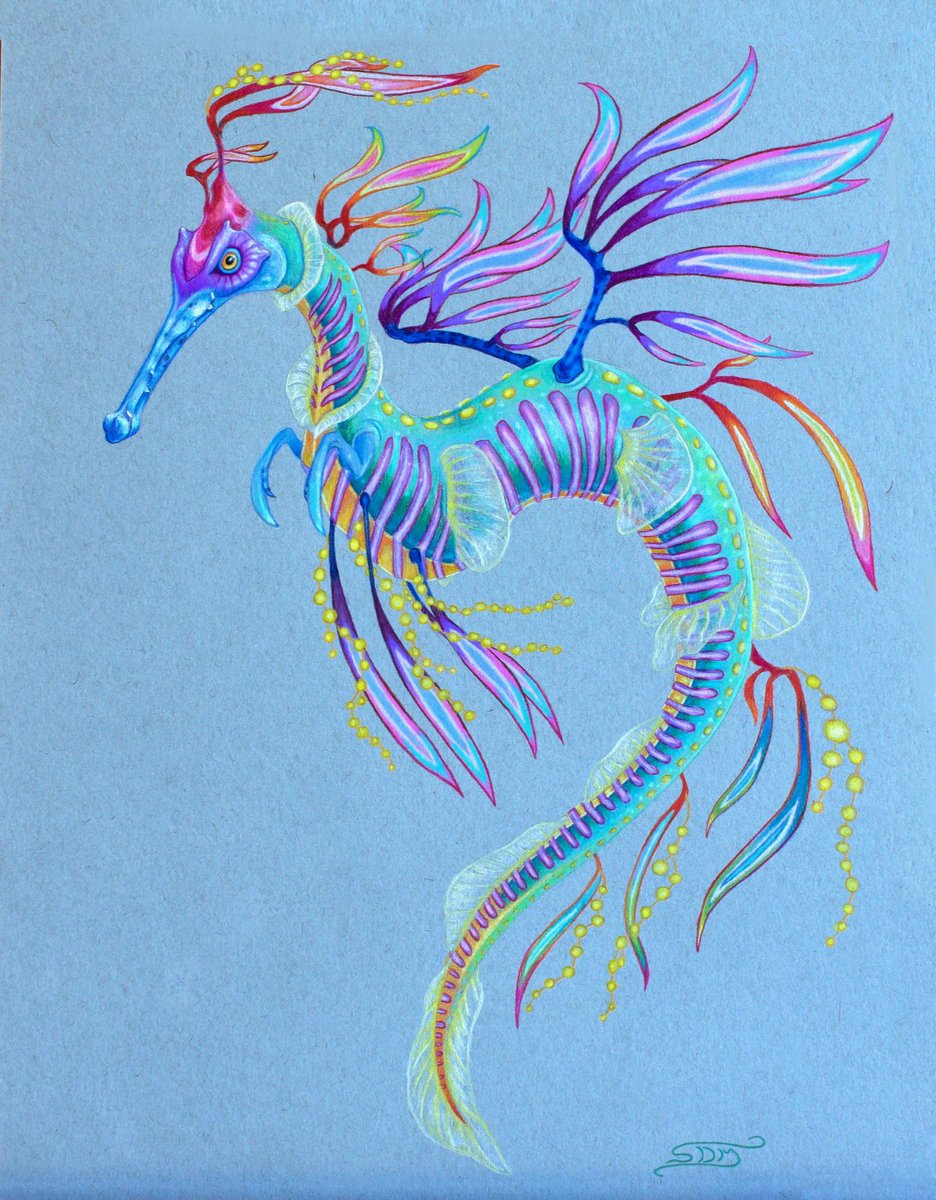 Flinkbag's tweet photo. @kristinadeckert Smol Australian artist here looking for work. I have a flexible style and can work with pretty much any medium. Would love to be considered ❤️ I can be contacted via email (flinkbag@outlook.com) and I also have a website with more of my artwork: https://t.co/OwZMMGyY9U ☺️ https://t.co/WfeDEArUWj