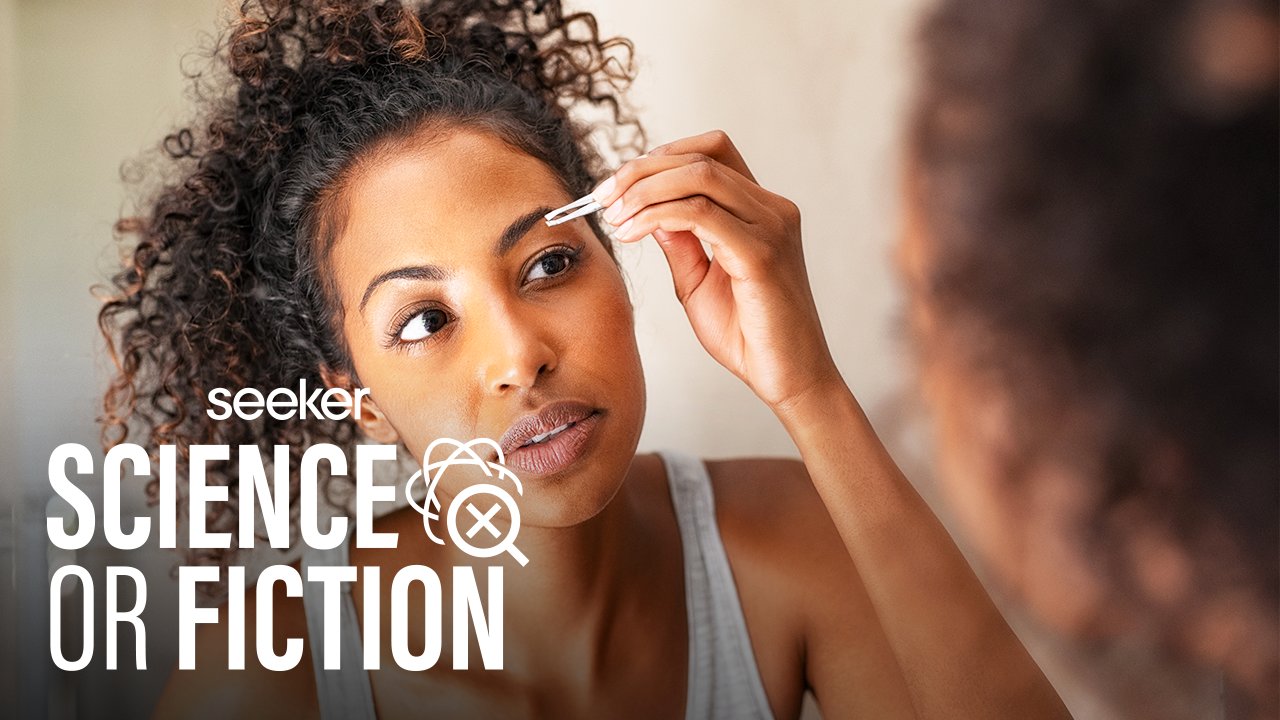 Seeker by The Verge on Twitter "Tweezing, waxing, threading—which hair removal method works the