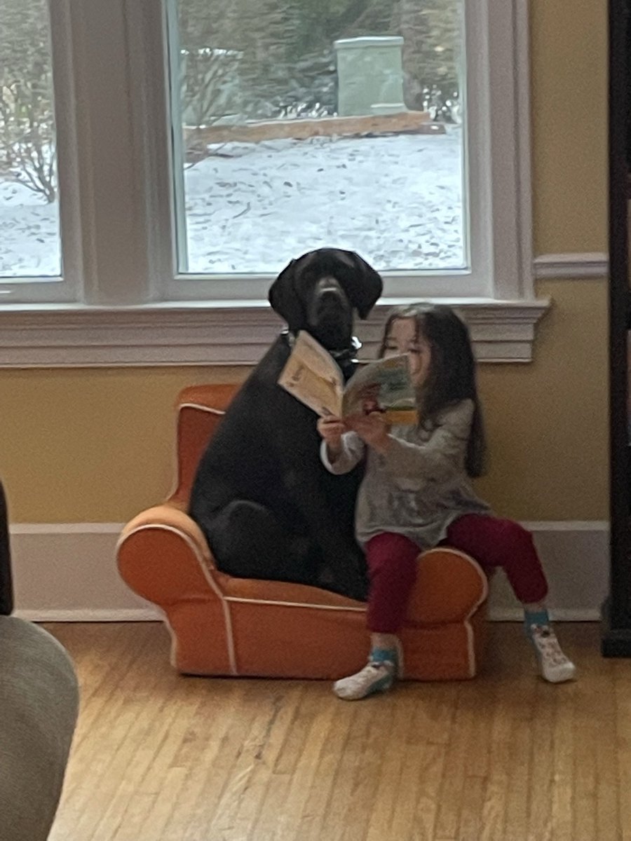 Wondering if my 3 year old is teaching my dog to read or my dog is teaching my 3 year old to read. Either way I presume the two will achieve the same success rate.