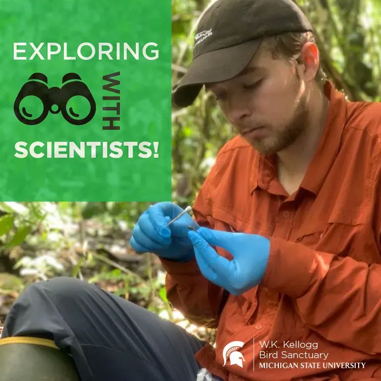 KelloggBioStn's tweet photo. First up in Exploring with Scientists: Kyle Jaynes shares how some frogs avoid extinction and what’s being done to increase the populations of the Harlequin Toad.
Register for the Zoom link: https://t.co/srwVTX8gPP @KE_Jaynes #KBSscience https://t.co/MD6N4FwA8C