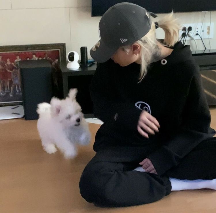 ramenwcoco's tweet photo. Adorable 💕🥺
credit: Pinterest
_________________________
#ASHISLAND #Clloud #Baechu https://t.co/jjfXuuPIja