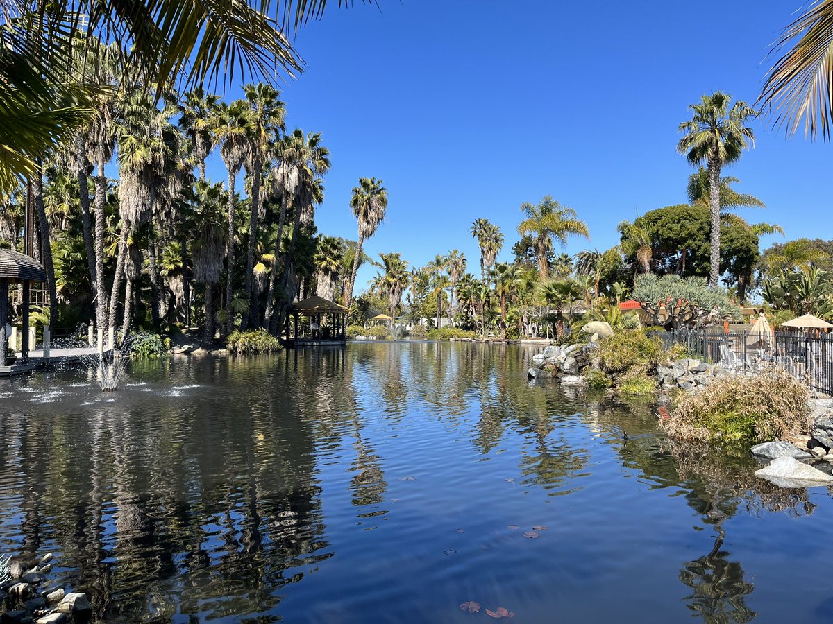 Dr. Melanie Noel tweet media