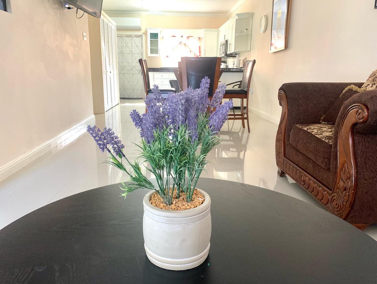 eddii_Ta's tweet image. Ash Wednesday coming up , Consider Getting an escape with your friends or family. Book a Condominium on the North Coast with us javabookings.com
•
•
•
#JavaBookings  #Accommodations #ModernApartment #LuxuryVilla