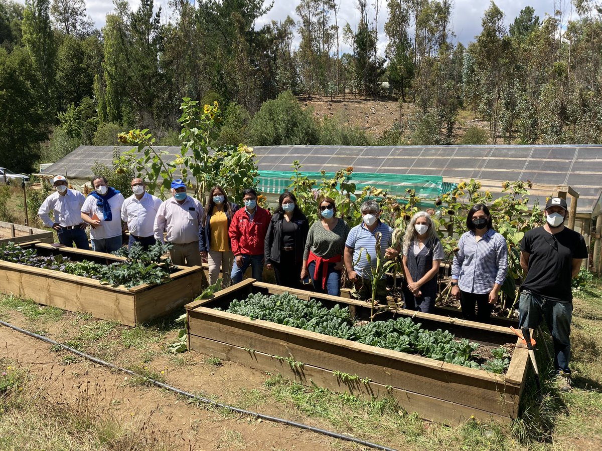 FranSilvaT's tweet photo. Hoy visitamos con el seremi de agricultura @hanscuramil a don Iván, usuario de @indaparaucania de Purén. El tiene un predio piloto del proyecto GEF Especies Amenazadas, (ejecutado por @FAOChile), en el que implementa prácticas de producción sostenible. https://t.co/AuMWeu2KwA