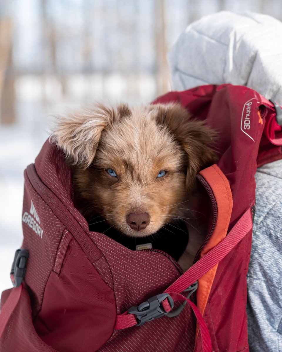 Abie & Weslie tweet media