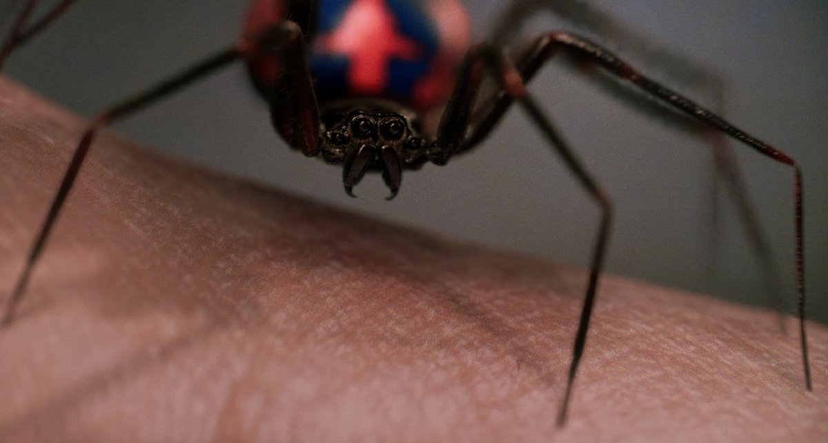 4KSpideyShots's tweet photo. 4K Shots of Spider-Man (2002) 📸 https://t.co/inviWJopSN
