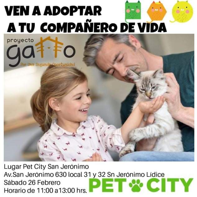 Firma de Autógrafos !!!😎
Este Sábado 26 de Febrero FERGIE estará dando autógrafos en Pet City San Jerónimo, ubicado en Plaza San Jerónimo, en un horario  de 11:00 a 13:00
Recuerda llevar cubrebocas y gel antibacterial para que te puedas tomar foto con ella y acariciarla. 😍