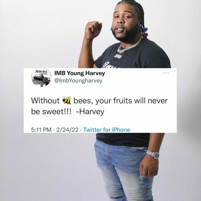 What&rsquo;s your thoughts on @imbyoungharvey tweet on Twitter today💭 https://t.co/43ngJhZas8 https://t.co<a class="tags" href="/tag/imbyoungharvey">@imbyoungharvey</a><a href="/tag/whipsandtricks"class="tags"><span>#whipsandtricks</span></a>