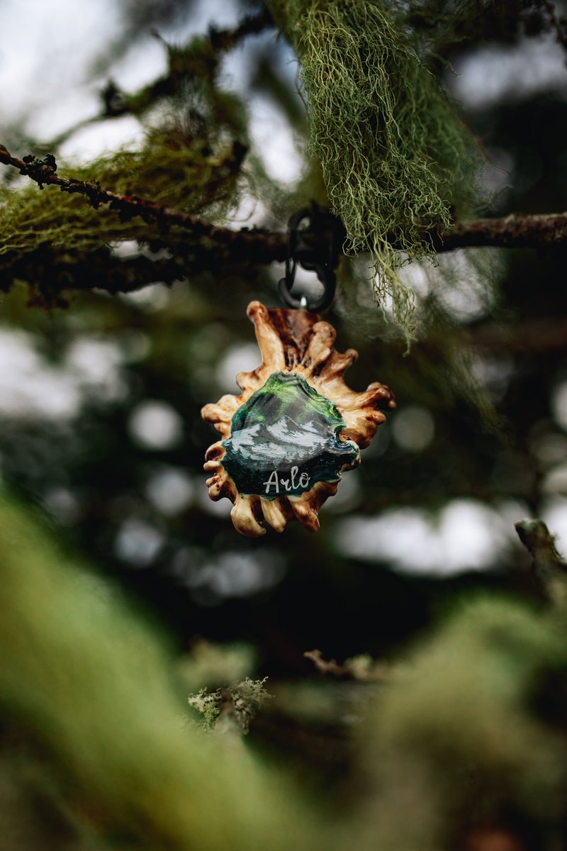 One of my favourite tags from #Tundrada 😍 #dogsoftwitter #twitterdogcommunity #dogsofinstagram