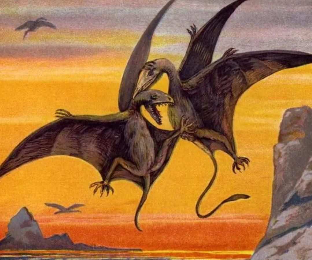 Fast_Bow's tweet image. *slow me montre cette image*
Moi : oh ils sont beaux ces p'tits ptéradoctyle !

Faut vraiment que j'dormes un jour dans ma vie.