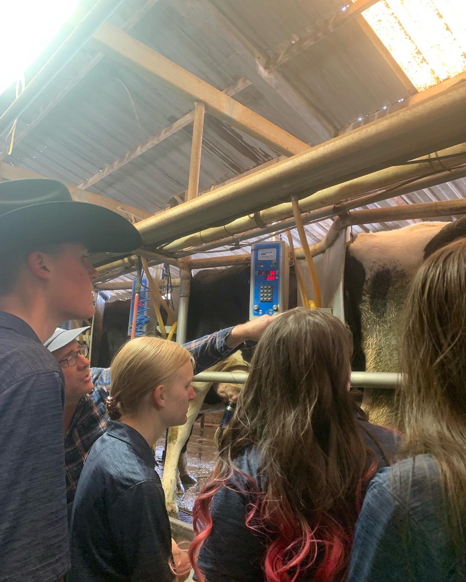 bashaffa's tweet image. Earlier this week some out of officers visited Zinke Dairy Farm and were able to deliver a custom metal sign and letters all by done by our members! They got a tour of the dairy farm and got to see and hear about how the dairy farm runs from day to day. We appreciate Mr. Zinke!