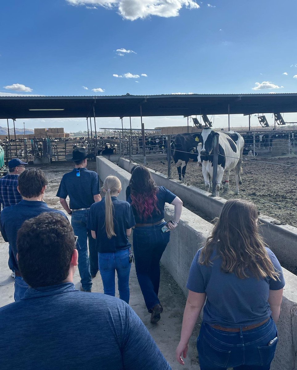 bashaffa's tweet image. Earlier this week some out of officers visited Zinke Dairy Farm and were able to deliver a custom metal sign and letters all by done by our members! They got a tour of the dairy farm and got to see and hear about how the dairy farm runs from day to day. We appreciate Mr. Zinke!