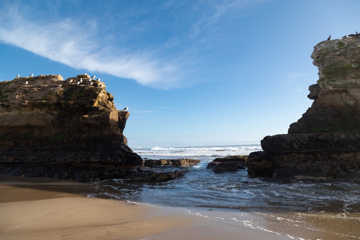ThatsMyPark's tweet photo. Make a difference by becoming a docent at Natural Bridges #StateBeach. 
Lead tours, host the #tidepools and answer visitor questions, work on restoration projects, and assist in the visitor center and bookstore. #Volunteer training begins in March: https://t.co/JvTqktz1hz https://t.co/0FWlvCqMs0