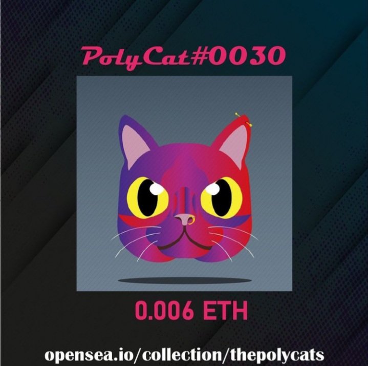 PolyCats tweet media