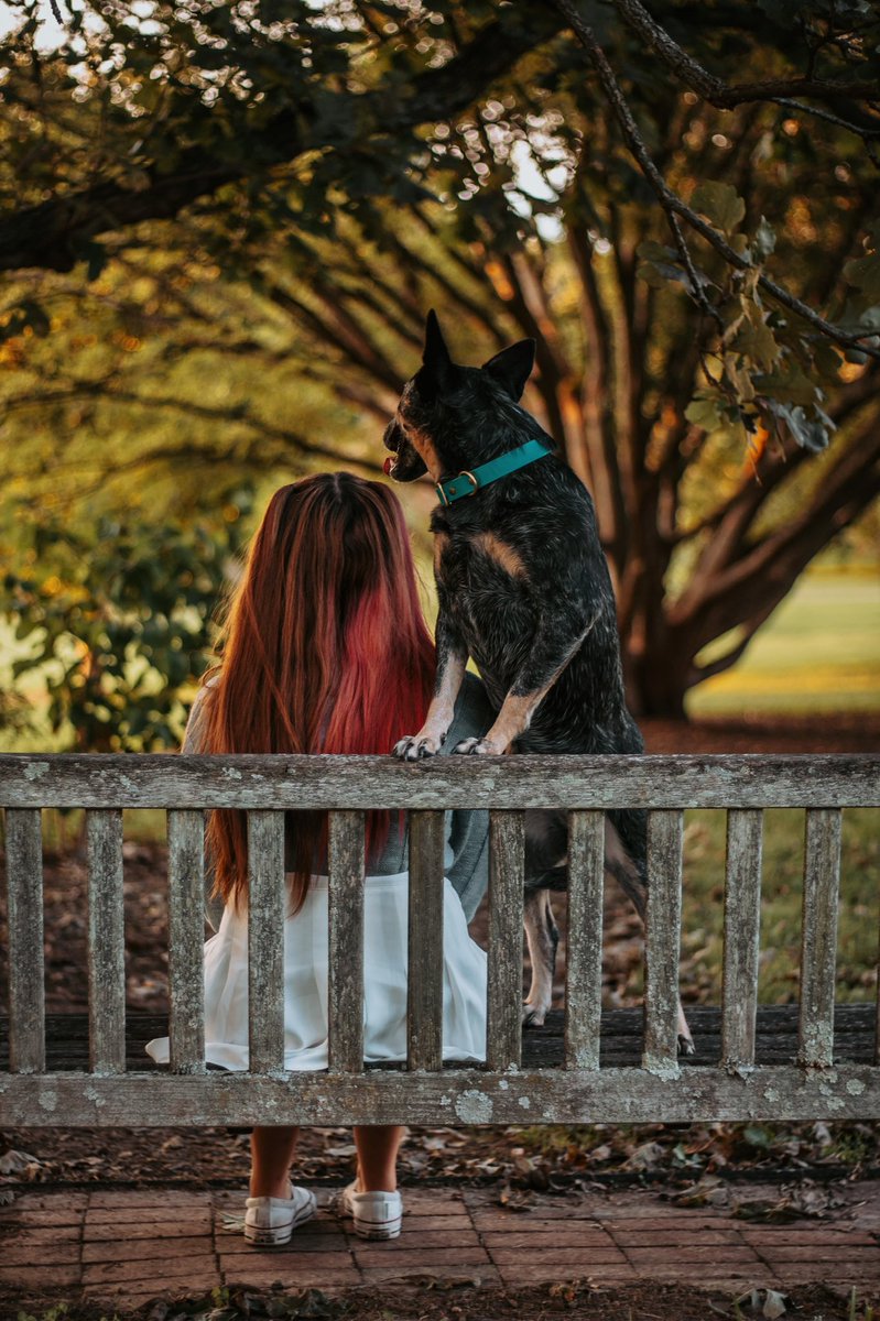 I was skeptical at first about joining dog twitter, but it’s already been so full of support! I’m so happy to finally be able to see everyone’s posts and not feel like a ghost anymore. Dog twitter might be the new best this 🐾🐶