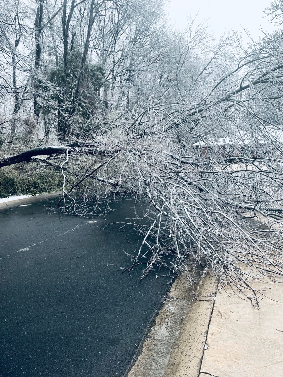 KATVNews's tweet photo. Trees continue to fall in Russellville as storms calm in central Arkansas Thursday evening. Thank you Brain Tynes for sending us your photo. Submit yours right now to https://t.co/PnwqvrxV4D! #katv #chimein #arkansaswinter #IceStorm22 #russellville https://t.co/i8oZGsKbLa