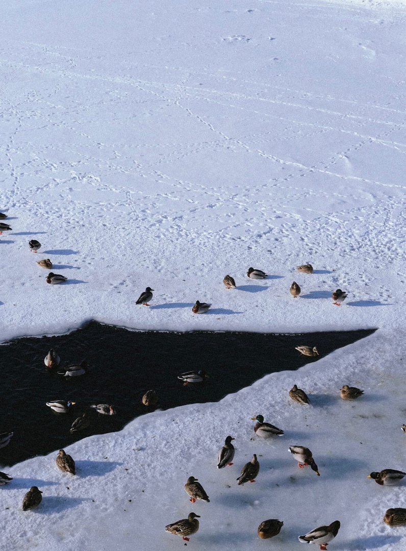 Доброе утро,Иркутск