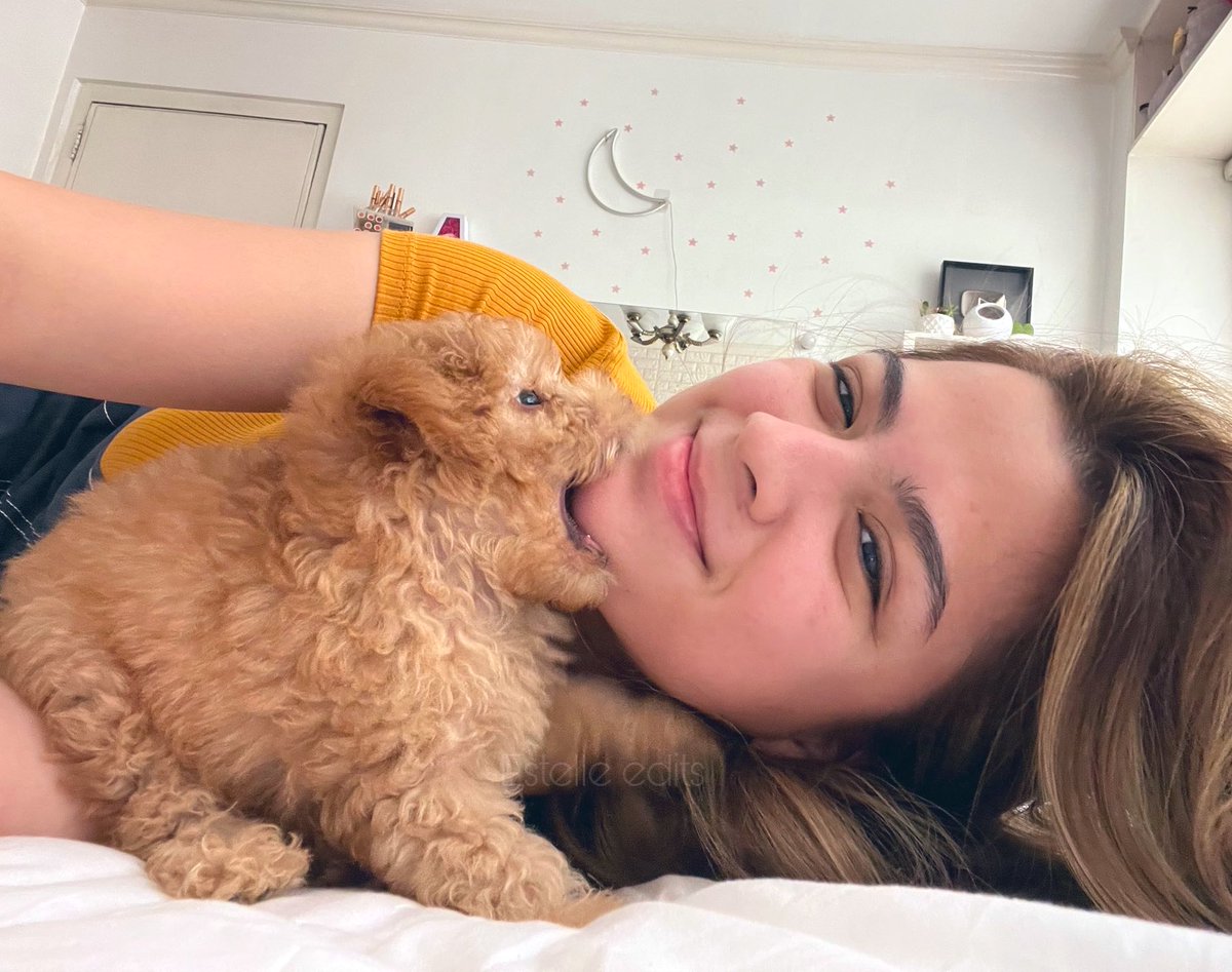 alexa4ever_'s tweet photo. pano yung gigil?

ALEXA BIG ANNOUNCEMENT 
@alexailacad https://t.co/tjj3bG6GHF