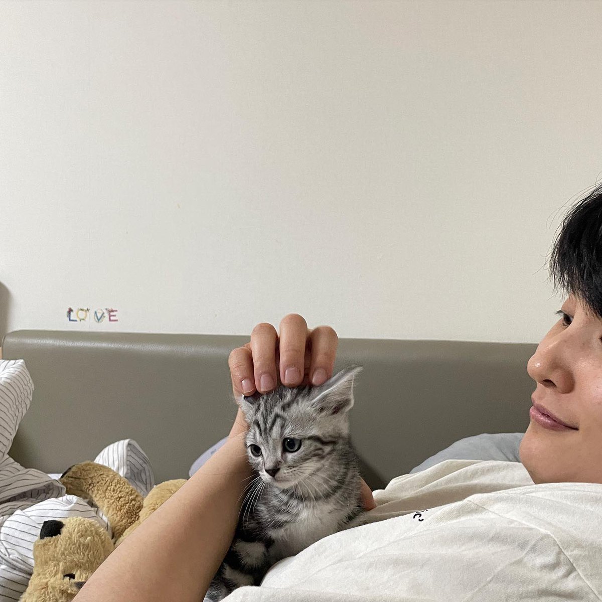 teddyjiin's tweet photo. 아미친김희진또고양이안았다 https://t.co/5phzmWVrJk