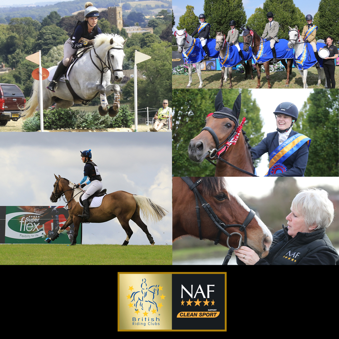 @nafuk tweet media