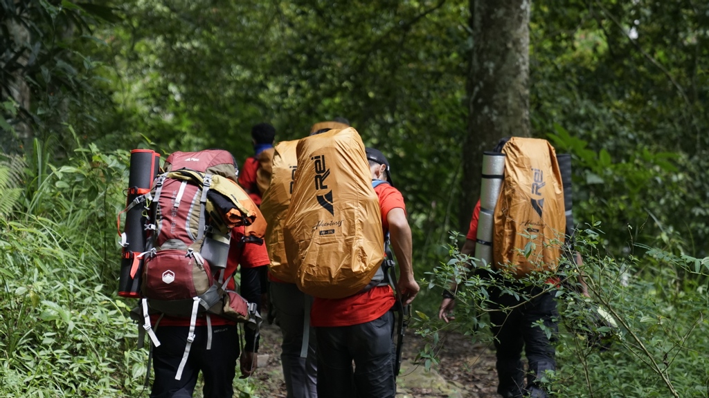 Kebersamaan; sebuah hal penting yang dapat menentukan sejauh mana kita melangkah menuju tujuan bersama. Bukankah sebuah perjalanan akan lebih terasa ringan jika bersama-sama bukan? ⁠
⁠
Misal... bersama dengannya😋⁠