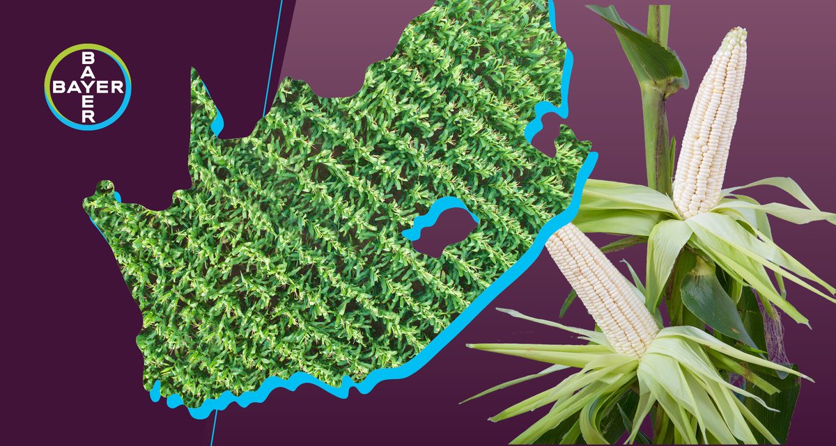 At the Grain SA Conference this week, it was announced that South Africa is one of Bayer Crop Science Divisions' biggest priorities going forward. We look forward to shaping the future of agriculture in the years to come. #Bayer