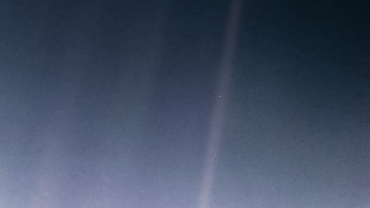 IFLScience tweet media