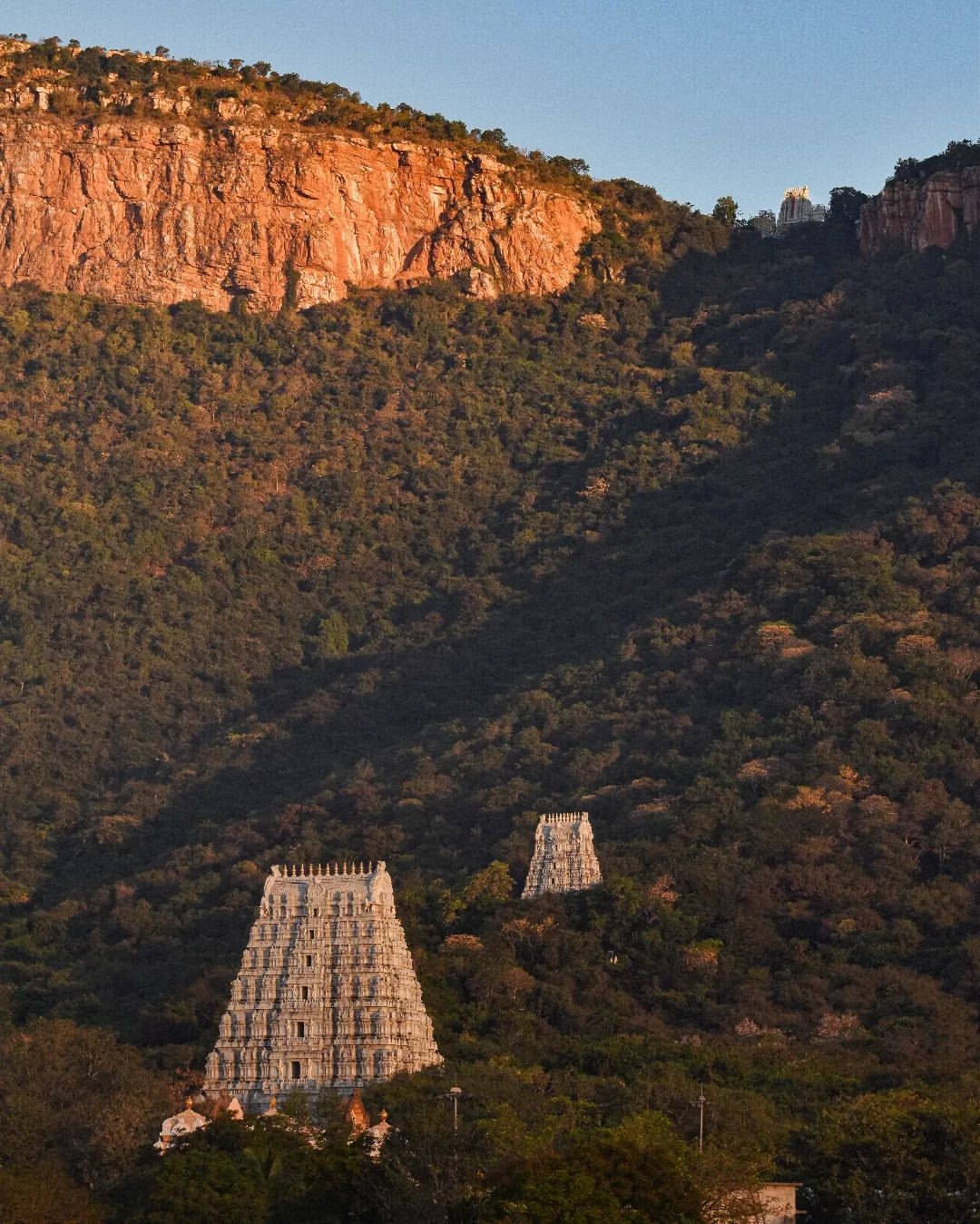 TirupatiYaaYo on Twitter: TirupatiYaaYo on Twitter: