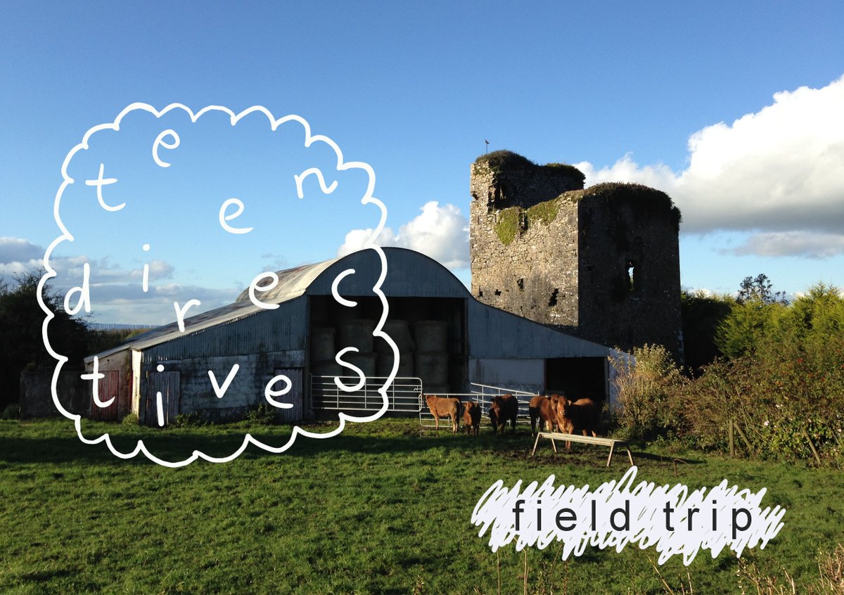 Calling all teenagers interested in art.....
Open Call: Teen Directives 2022: Field Trip | For Ages 14 - 17 | Apply by 13 Mar
Taking place over 5 days during the Easter holidays, MORE HERE: rhagallery.ie/events/learnin…